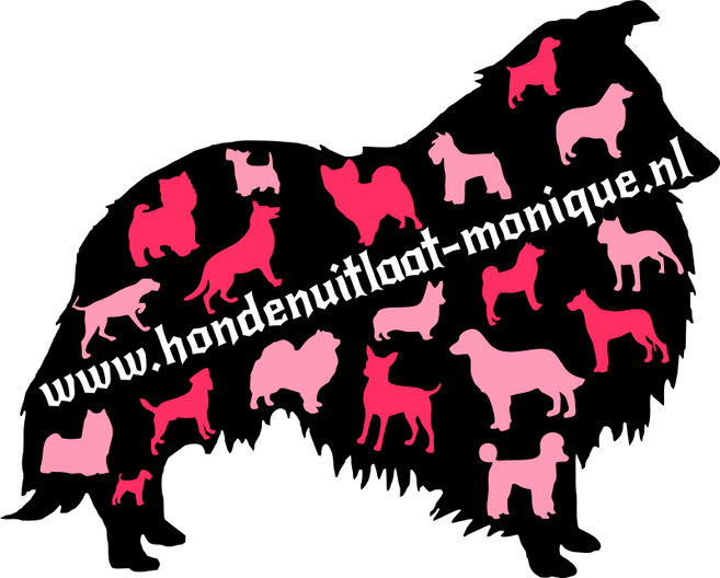Hondenuitlaat Monique is voor Uw hond uniek!!